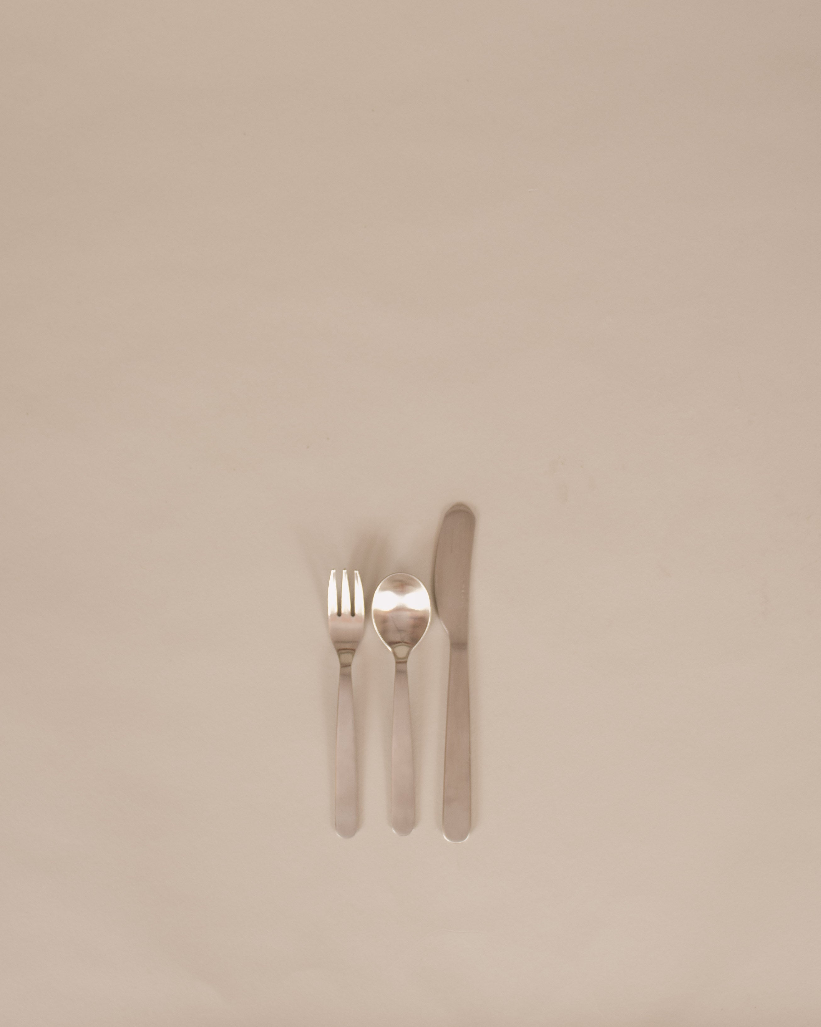 Japanese Stainless Steel Flatware - GOOD FRIEND
