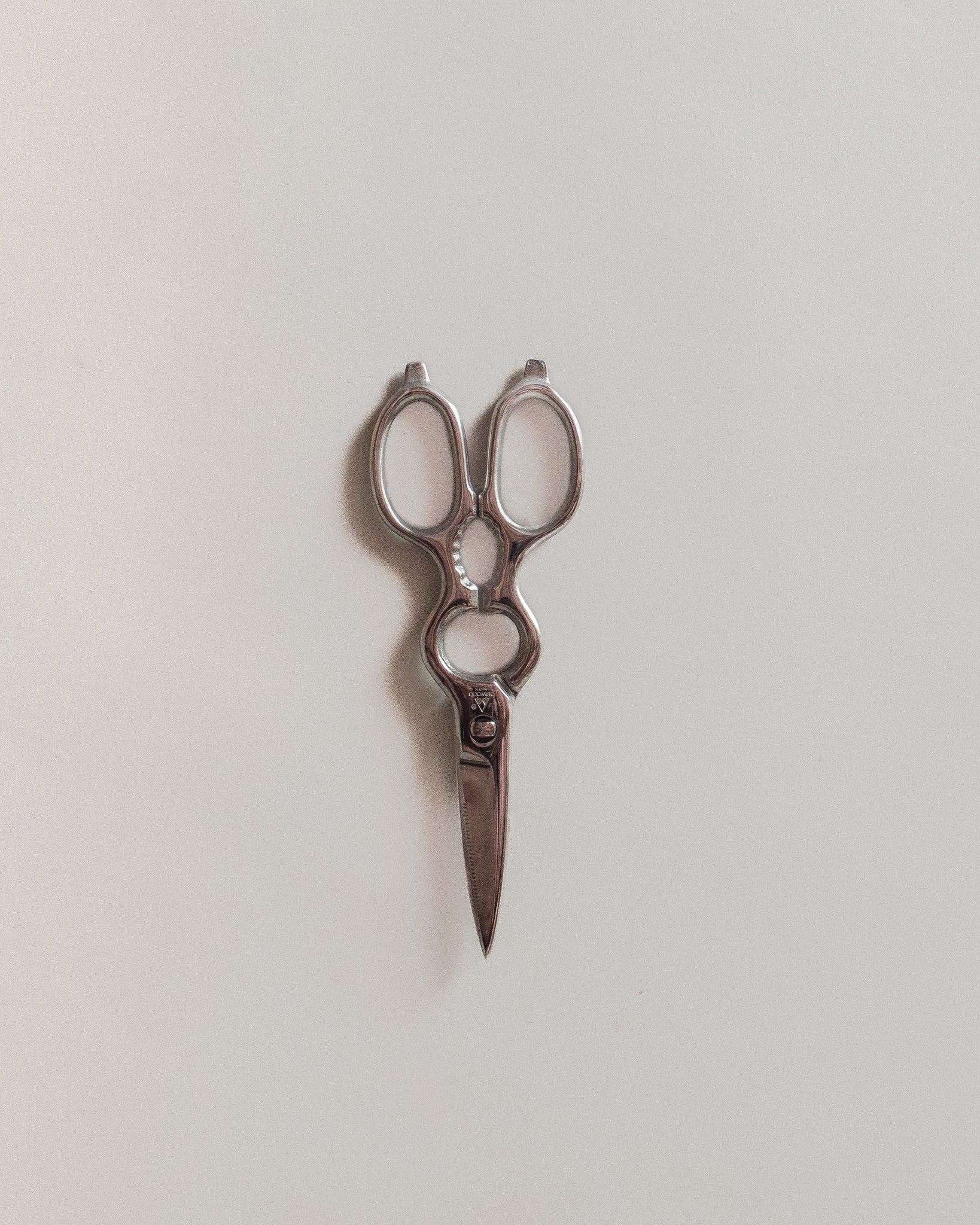 Kitchen Scissors