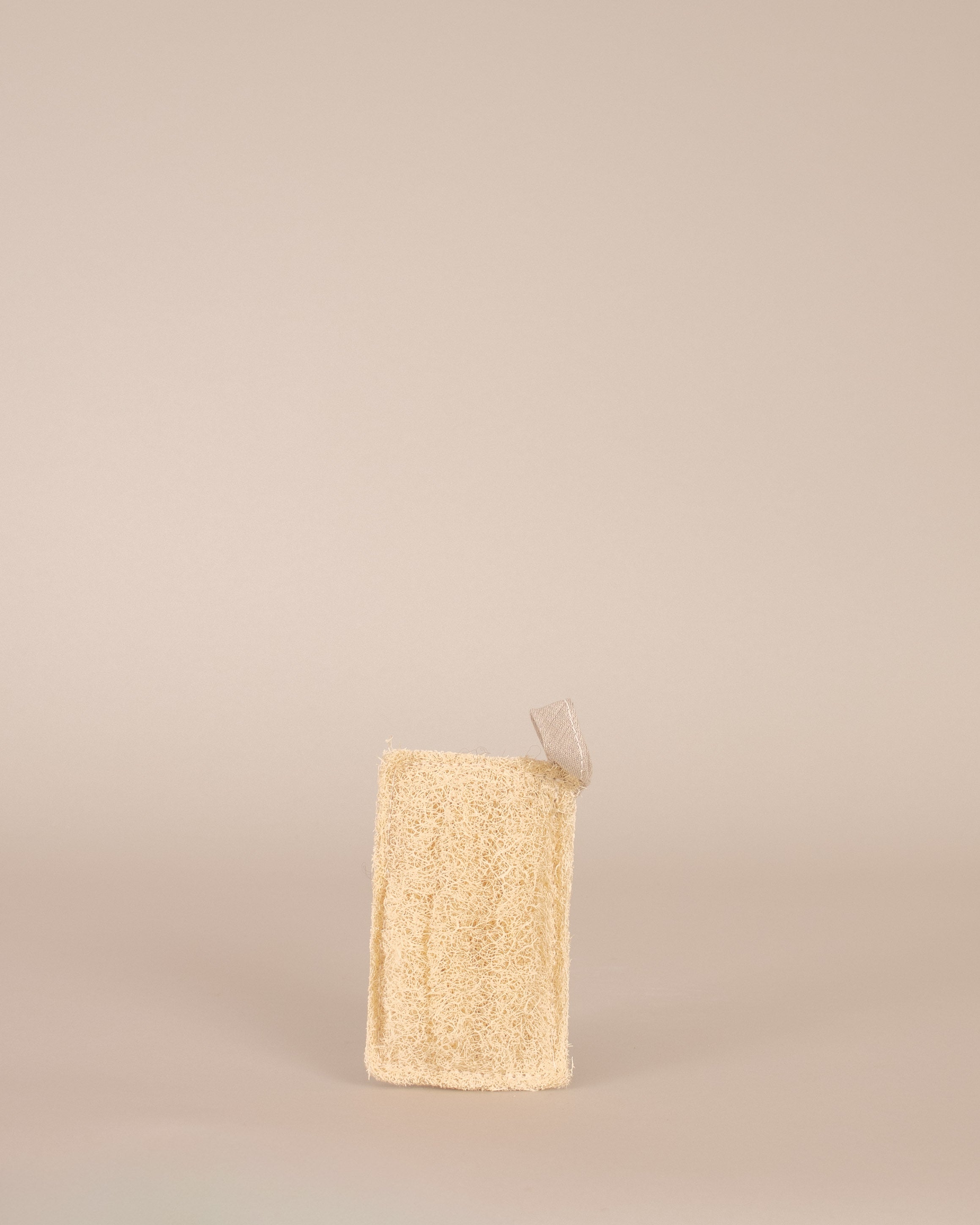 Compostable Scouring Pad