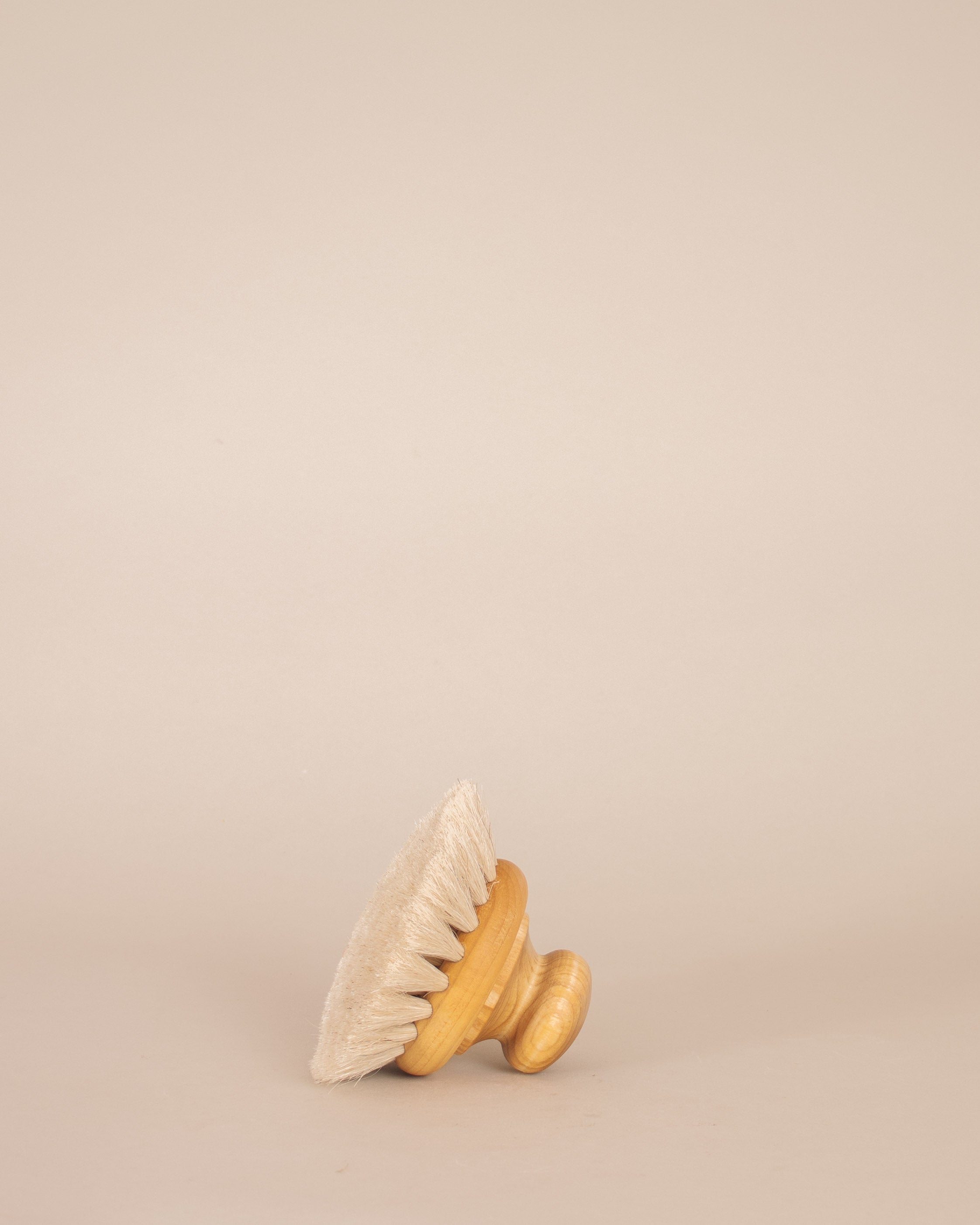 Bath Brush With Knob - GOOD FRIEND