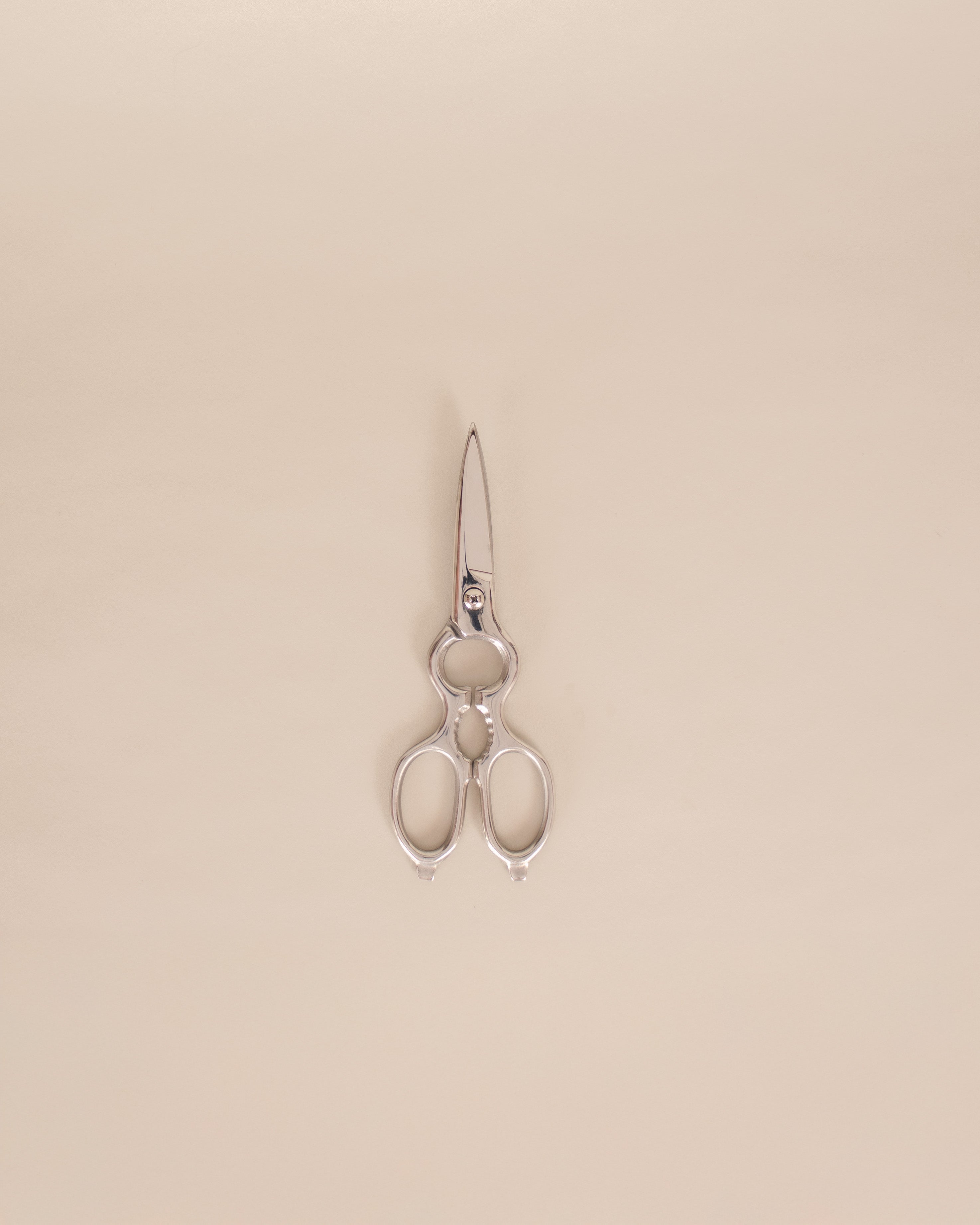 Kitchen Scissors - GOOD FRIEND