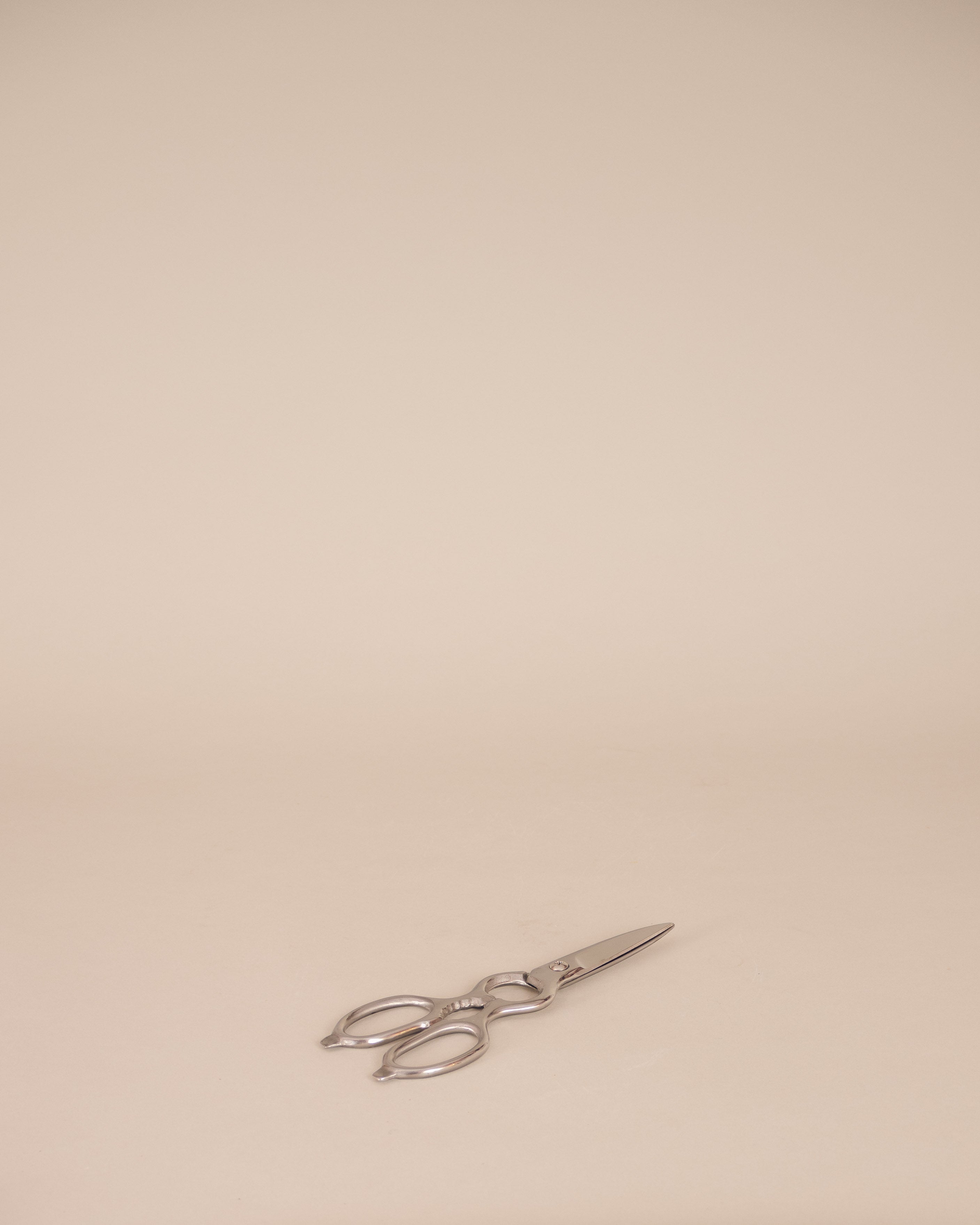 Kitchen Scissors - GOOD FRIEND