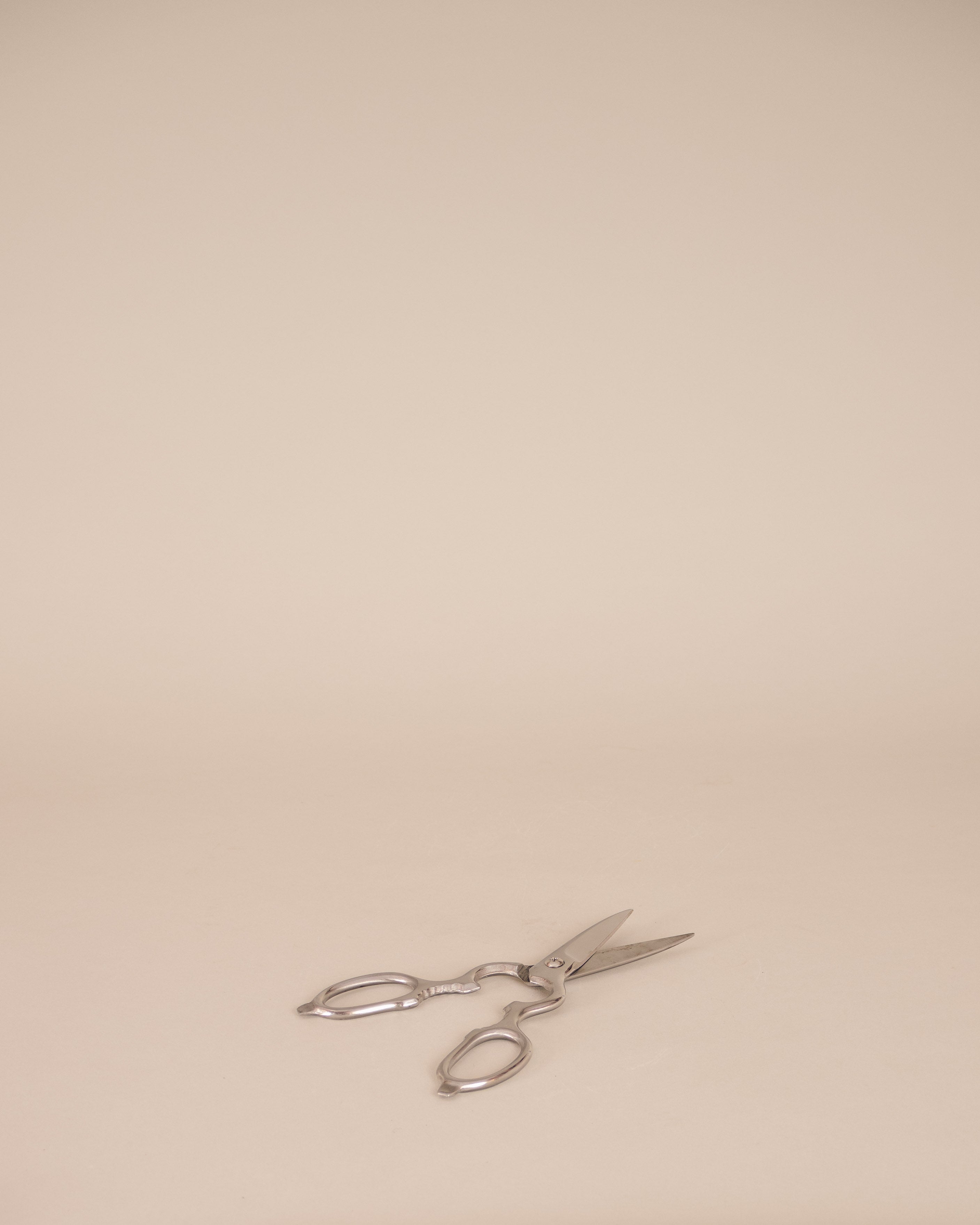 Kitchen Scissors - GOOD FRIEND