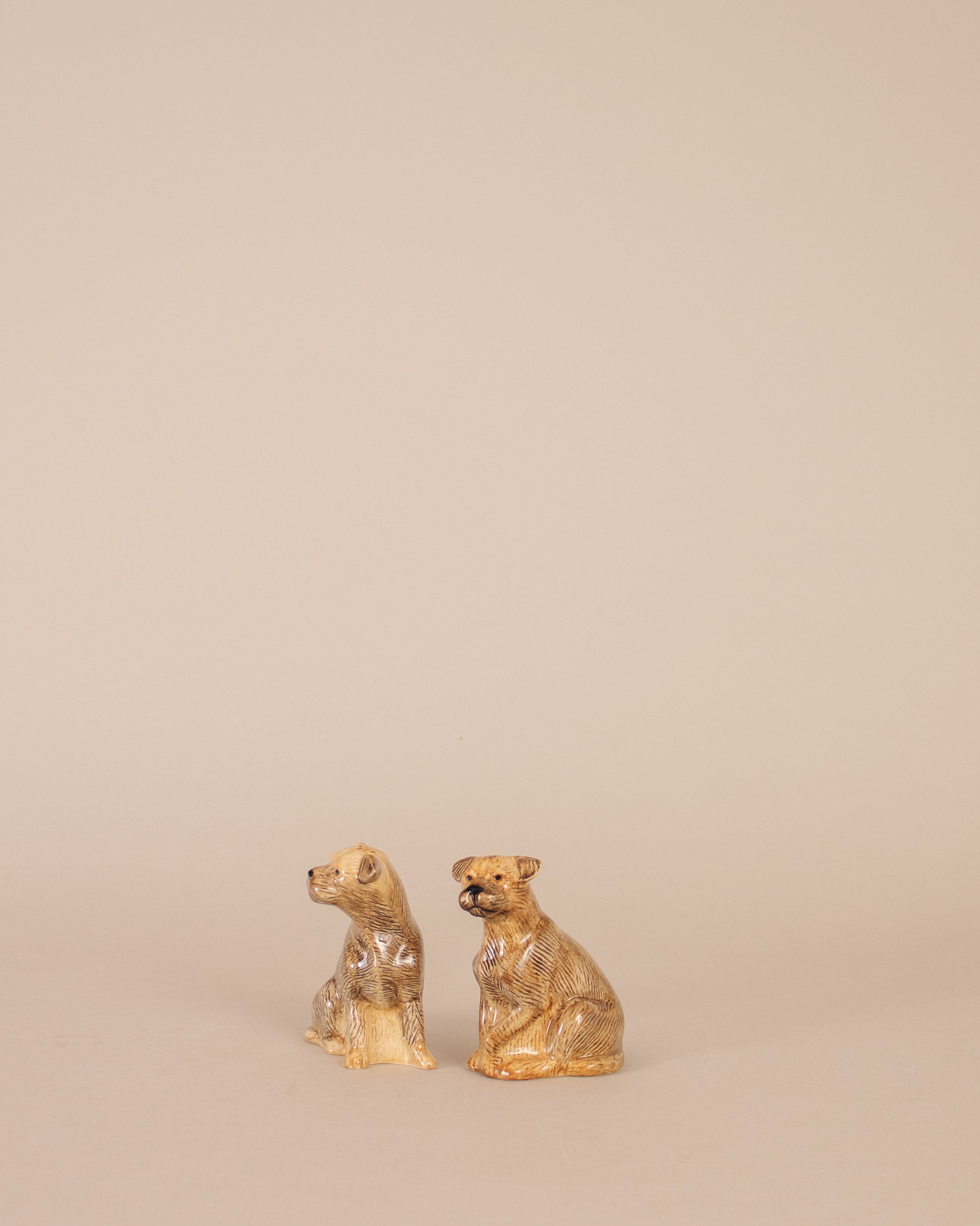 Border Terrier Salt and Pepper Shakers - GOOD FRIEND