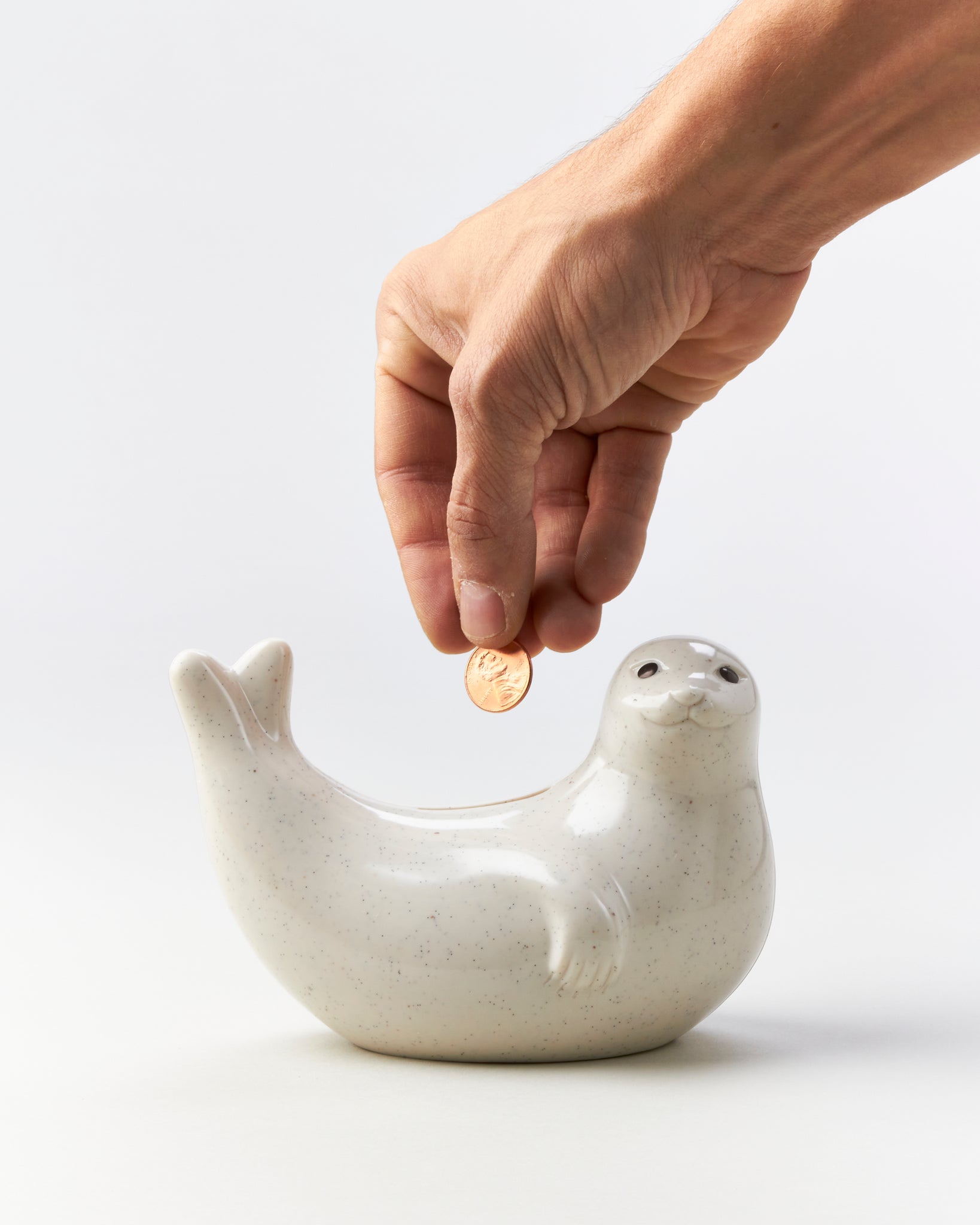 Baby Seal Money Bank - GOOD FRIEND